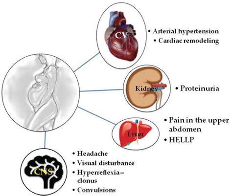 Non Dipping Patten Of Blood Pressure And Gestational Hypertension