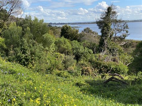 Threats To Swan Bay Swan Bay Environment