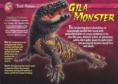 Gila Monster Weird N Wild Creatures Wiki Fandom