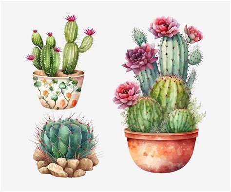 Pintura Acuarela De Un Conjunto De Cactus Con Flores Y Plantas En