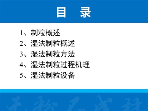 32页ppt了解湿法制粒工艺及设备 要闻 资讯 中国粉体网