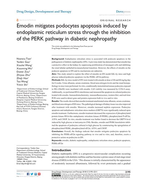 Emodin Mitigates Podocytes Apoptosis Induced By Endoplasmic Reticulum