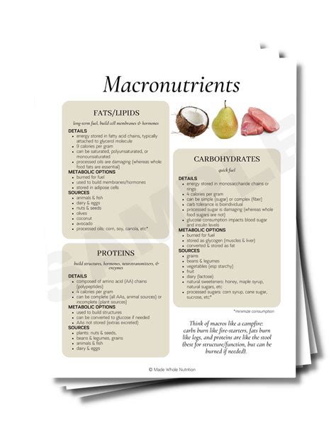 Healthy Fats Handout Functional Health Research Resources Made