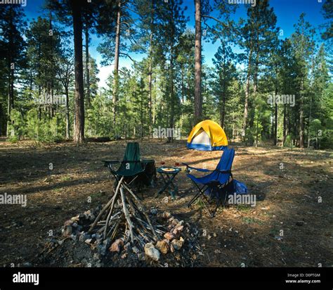 Camping Spot On The Mogollon Rim Ponderosa Forest Coconino National Forest Central Arizona