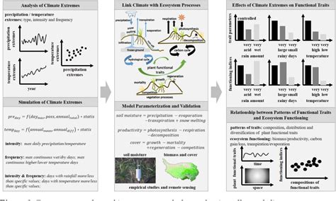 figure    effects  climate extremes  plant