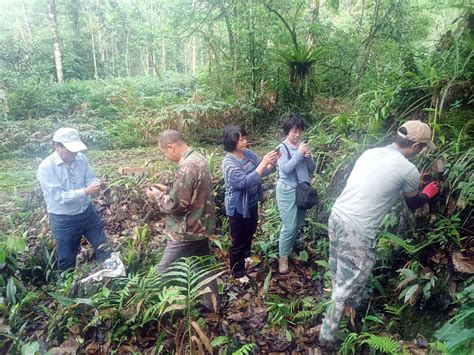 生态云南 麻栗坡极小种群保护植物又添新成员isenlincn