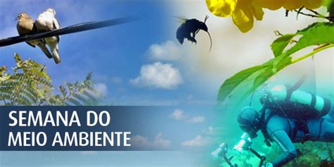 Tema A Importância Da Biodiversidade Na Preservação Da Natureza De 27 De Maio A 02 De Junho