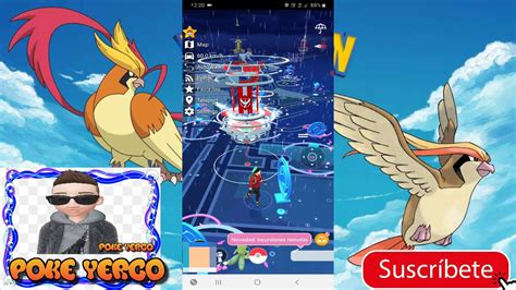 Como Ser FLY En Pokemon Go 2021 Juega Desde Casa YouTube