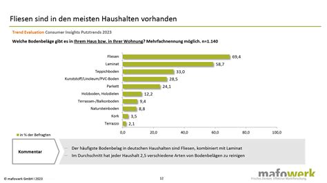 Putzen Reinigen 2023 Verbrauchergewohnheiten