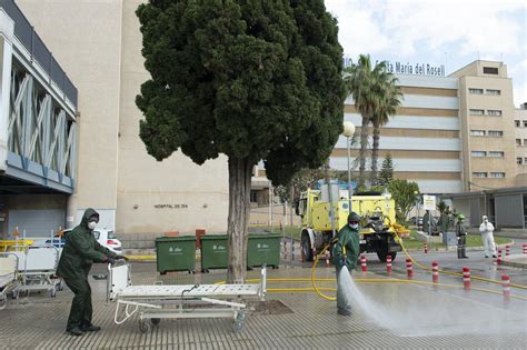 Fotos Brigadas Forestales De La Comunidad Limpian Infraestructuras