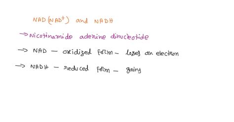 SOLVED: What is NAD (NAD+) and NADH? Describe them as if you were a ...