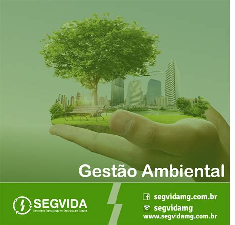 Gestão Ambiental Qual A Importância • Segvida