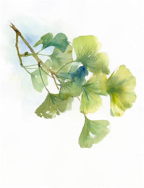 Original Painting Gingko Watercolor Painting Ginko Leaf Etsy