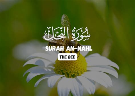 "Guidance in Abundance: Surah An-Nahl - The Bee" | Blessings of Quran