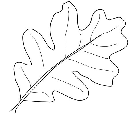 Leaves Coloring Pages Download