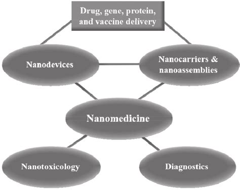 1 The Different Domains Of Nanomedicine Download Scientific Diagram