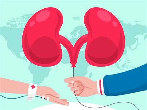 World Organ Donation Day Dos And Donts To Follow After Kidney