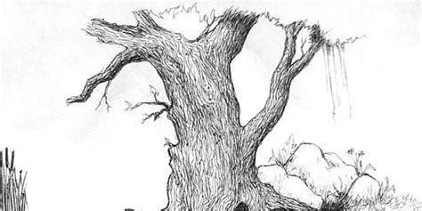 Pencil Drawing Pictures Of Nature | Pencil drawings of nature, Pencil drawing pictures, Pictures ...