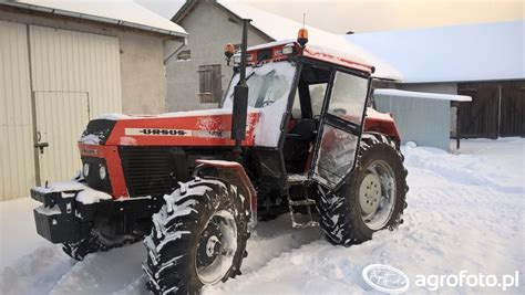 Zdjęcie traktor Ursus 1224 id 677945 Galeria rolnicza agrofoto