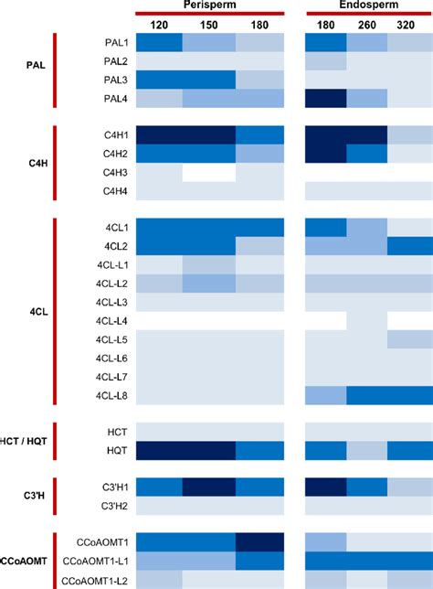 Figure S15 Expression Pattern Of Ppp Genes During Fruit Development