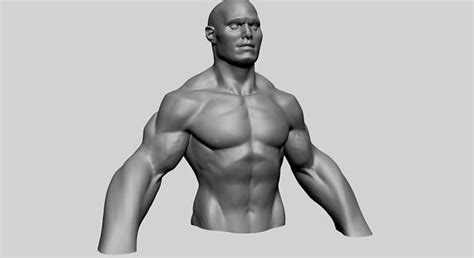 Stylized Male Upper Body 3d Model Cgtrader