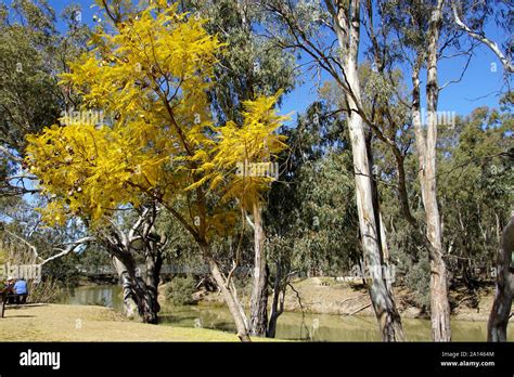 Picnic Spot Riverbank Hi Res Stock Photography And Images Alamy