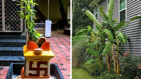 Vastu Tips Planting Tulsi Or Banana Tree At Home Keeps The Environment