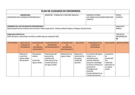 Resúmenes de Plan de cuidados Descarga apuntes de Plan de cuidados