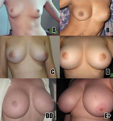 Tits B Cup Size Chart