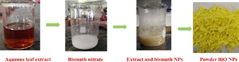 Synthesis Of Bionps Using Aqueous Leaf Extracts Download Scientific