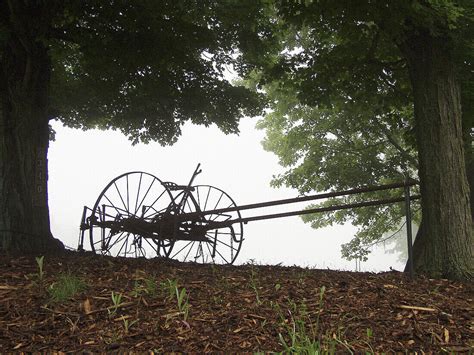 Alt Altmodisch Aussen Außen Baum Bild kaufen 70180515 lookphotos