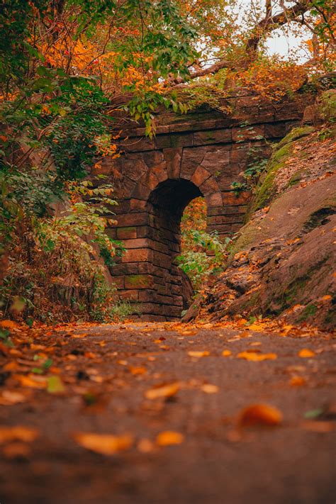 Disappearing Days. And nights. | by David Rudder | Blue Insights | Medium