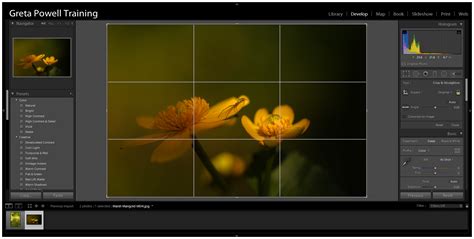 Adobe Lightroom Crop Tool Lightroom Tutorial Training