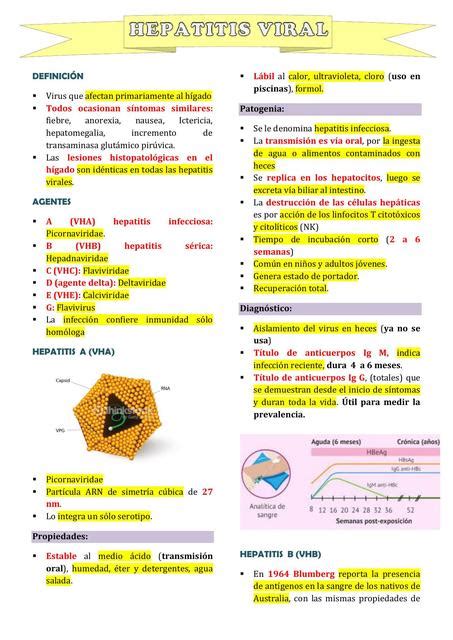 Hepatitis Viral Leslie Carhuaz UDocz