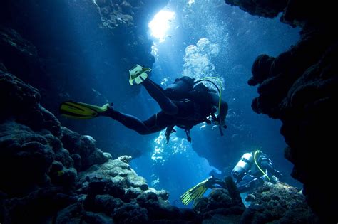 Scuba Diving Wallpapers Wallpapers