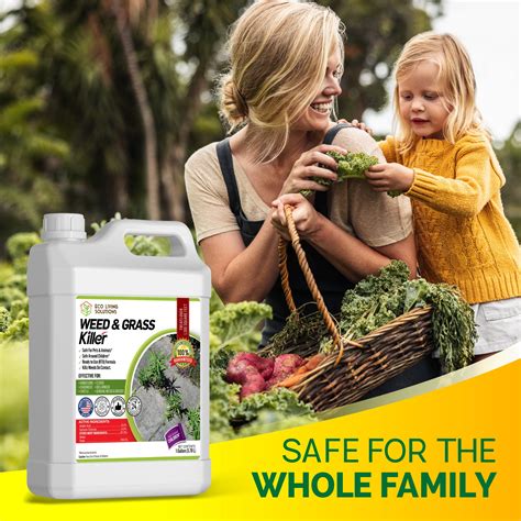 Best Organic Weed Killers Eco Living Solutions Pet Safe Weed Killers