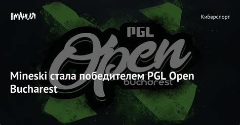 Mineski стала победителем PGL Open Bucharest Игромания