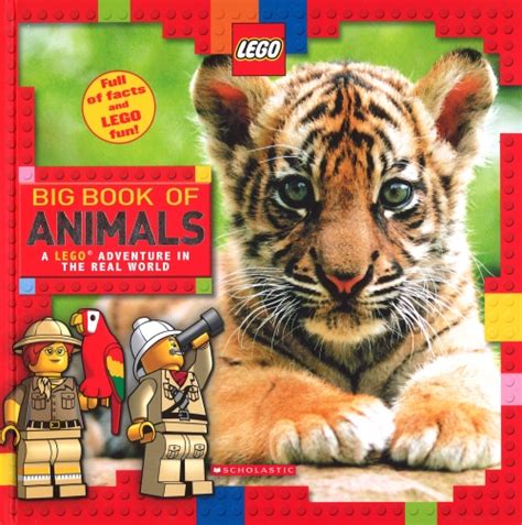 The Store Big Book Of Animals Book The Store