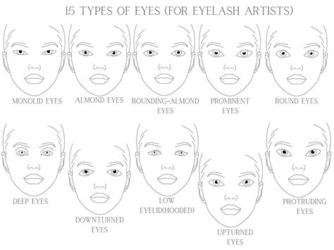 Face Chart / Face Shape / Makeup Face Shapes / Face Shape Svg - Etsy