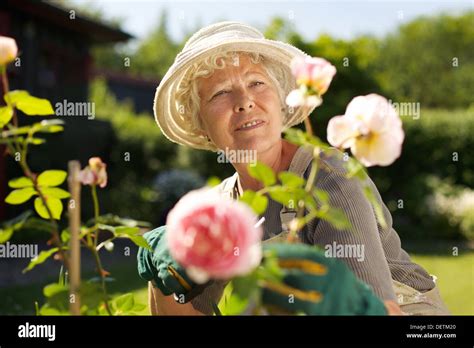 Mature Lady Outdoors Sun Hi Res Stock Photography And Images Alamy