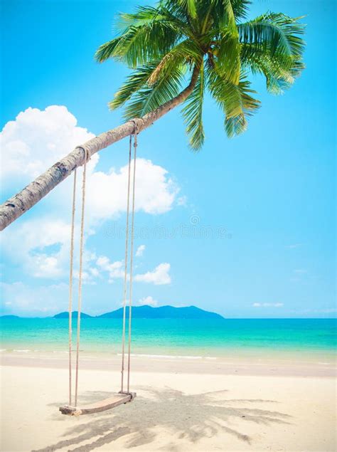 Beautiful Tropical Island Beach With Coconut Palm Trees And Swing Stock