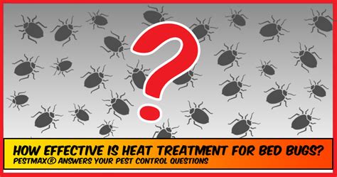 How Effective Is Heat Treatment For Bed Bugs Pestmax Pest Control Blog