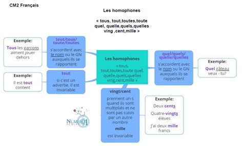 Les Homophones Tous Tout Toutes Toute Quel Quelle Quels Quelles Ving