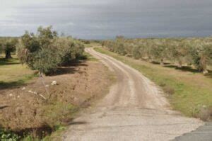 Muere Un Hombre De A Os Tras Quedar Atrapado Debajo De Un Tractor En