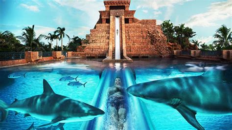 Atlantis Water Park Shark Slide