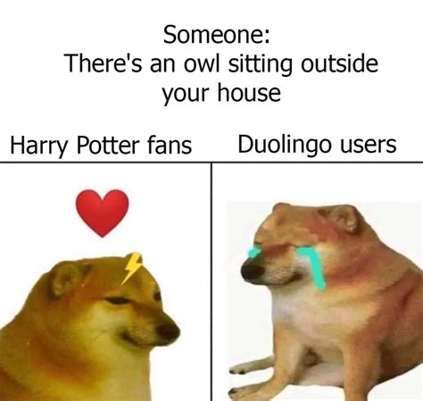 Hello Owl | /r/dankmemes | Evil Duolingo Owl | Know Your Meme