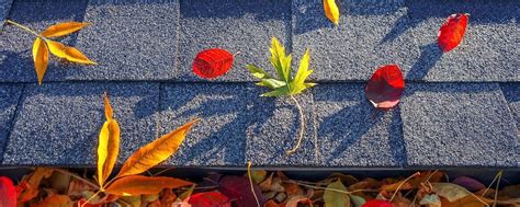 Fall Roof Maintenance Tips Fitz Roofing