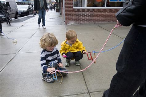 Dog leashes for sale in bulk, dogs eat their poop, invisible dog leash and collar, interesting ...