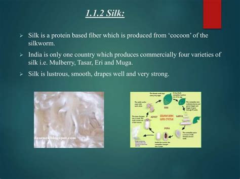 Fiber Classification Ppt Ppt