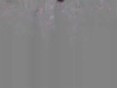 Extrem Hairy Cam Slut Pussy